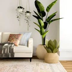 Create a layered, jungle-like feel by combining plants of different heights and textures. Here, a tall Bird of Paradise is complemented by a bushier plant and hanging macrame planters for a complete, immersive green corner.