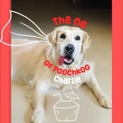Every pack needs an OG, and ours is Charlie. He's the heart and floof of Poochkoo, and he reminds us every day why we do what we do. He's our official Chief Happiness Officer.