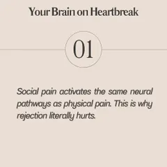 **What nobody tells you about heartbreak is that the pain is real and there's science behind it.** Social pain activates the same neural pathways as physical pain. You're not just missing them; you're detoxing from the neurochemicals their presence created, which is why it feels like withdrawal. Understanding the science of heartbreak can help you be more compassionate with yourself during the healing process.