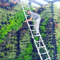 Getting up close and personal with a large-scale living wall. I personally oversee the installation to ensure every plant is correctly positioned and thriving.