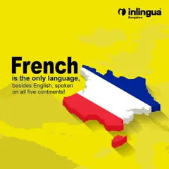 Besides English, French is the only language spoken on all five continents. This global reach makes it an incredibly valuable skill for international communication and career opportunities.
