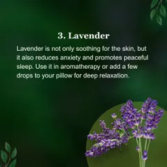 Lavender is not only soothing for the skin but also helps reduce anxiety and promotes peaceful sleep. I often recommend it for aromatherapy to encourage deep relaxation.