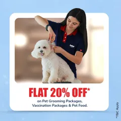 Don't miss out on our Grooming Fest deals. This is your chance to book a luxury spa experience for your pet at a discounted rate and get them looking and feeling their best.