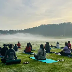 Another perspective of our morning sadhana in Khajjiyar. Participants are seated in Sukhasana (Easy Pose), facing the rising sun and the gentle mist rolling over the hills.