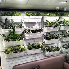 When floor space is limited, we go vertical. This modular vertical garden at a renowned salon adds a lush, living element to the decor, creating a refreshing and calming atmosphere for clients.
