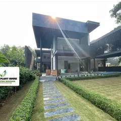 A view of the modern home project, showing the harmony between the sharp architectural lines and the soft, natural elements of the garden. The stone slab path cuts through the lush lawn, leading the eye towards the house while maintaining a minimalist aesthetic.