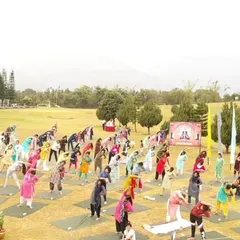 A wide view of our International Yoga Day event, with dozens of participants moving together in unison. There is a special energy when so many people practice with a shared intention.