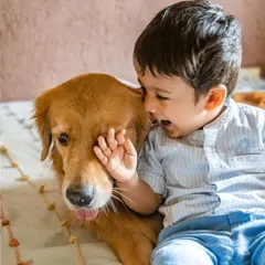 Pure mischief and joy! A little boy shares a laugh with his Golden Retriever on the bed. My at-home sessions are perfect for capturing these playful, unscripted moments that truly show a child's personality.