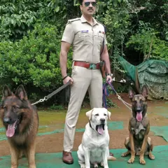 Here are three of my trained stars on a film set. This photo features Leo the German Shepherd, a Labrador, and a Belgian Malinois posing with an actor in a police uniform, ready for their scene.