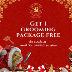 This Christmas, we're running a special offer. When you spend ₹5000 or more, you'll receive a free grooming package to get your pet looking their festive best.