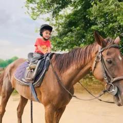 Look at that happy face. A young rider sits confidently on one of our calm horses, enjoying a gentle introduction to the world of equestrian sports.