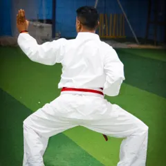 This rear view highlights the importance of a strong, low stance in generating power. Every detail, from foot placement to back posture, is critical for executing techniques effectively, and this is a core focus of my instruction.