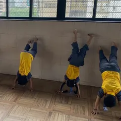 Young students practice wall-assisted handstands. This is a great exercise for building upper body strength, balance, and confidence in our introductory gymnastics program.