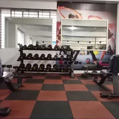 The free weights area is fully equipped with a wide range of dumbbells and benches, perfect for strength training and muscle building.