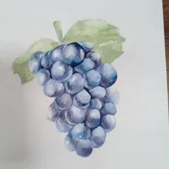 This realistic watercolour painting of grapes was done by Anaya in 9th grade. We practice painting different textures to build a versatile skill set for exams.