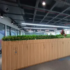 Another view of the office planters, showing how they act as a natural and attractive divider in an open-plan office environment.