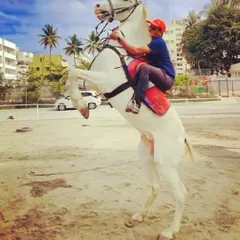 This is the power and spirit of our indigenous Sindhi horses. A perfectly executed 'wheelie' shows the trust and connection between rider and horse, a skill we build with passion and practice.