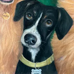 This is Olive, whose sweet head tilt I just had to capture. I made sure to include her personalized dog tag, a small detail that makes the portrait uniquely hers.