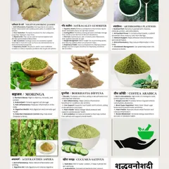 My herbal library is extensive, featuring everything from Moringa for its nutrient density to Boerhavia Diffusa for detoxification. I believe in using nature's pharmacy to help your body heal and find balance naturally.