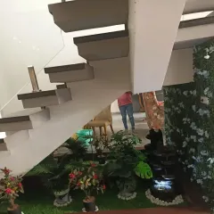 A full view of the under-stair garden, showing how it adds a vibrant and unexpected natural element to the home's interior.