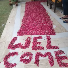 This is a welcome pathway I created using a thick arrangement of fresh red rose petals. The word 'WELCOME' is clearly spelled out at the entrance to greet the person arriving home.