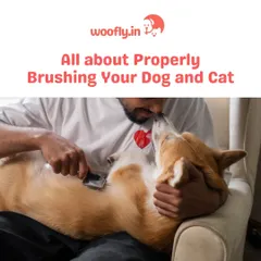 Brushing your pet is a bonding activity that is crucial for their well-being. I can guide you on the proper techniques for both dogs and cats to keep their coats healthy.