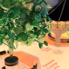 A close-up of the mini model, showing the tiny trees and the labeled 'Elevated Lounge' area. This level of detail in the planning phase is what allows me to execute grand visions flawlessly.