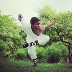 This is a classic Kung Fu crane stance, a posture that cultivates balance, leg strength, and patience. Mastering these forms is essential for developing a solid foundation in martial arts.