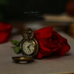 Love, much like this rose, shifts through seasons. This fine art photograph of a vintage clock and a deep red rose is my attempt to bottle up fleeting emotions and the idea that love transforms, becoming stronger with time.