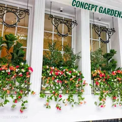 We designed these beautiful artificial flower boxes for a restaurant facade. The mix of colorful bougainvillea and trailing greens provides stunning curb appeal that attracts customers.
