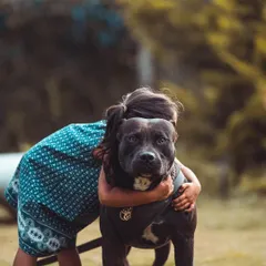 This picture says it all. A well-trained and socialized Pitbull is a loving family member. Building this kind of trust and gentleness is at the heart of what I do.