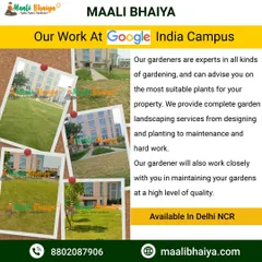 Hum bade projects bhi sambhalte hain. Ye tasveer hamare Google India Campus mein kiye gaye kaam ki hai, jahan humne unke gardens ko design aur maintain kiya. Itne bade corporate space ko hara-bhara rakhna hamari quality aur reliability ka saboot hai.