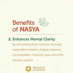 Nasya also enhances mental clarity. By stimulating brain function through the nasal administration of medicated oils, it can improve concentration, memory, and calm the nervous system.