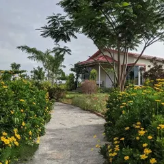 A welcoming pathway lined with vibrant yellow flowers leads to the front door of this home. My goal here was to create a journey through the garden that is full of color and life, making the walk home a beautiful experience.