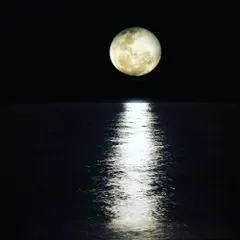 The phase of the moon, or Tithi, at your time of birth has a profound influence on your emotional state, relationships, and marriage. I analyze this aspect of your chart to help you understand your inner self and navigate your connections with others more harmoniously.
