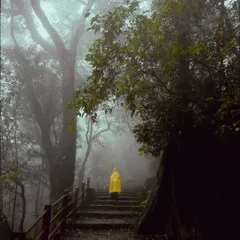 A person in a bright yellow raincoat stands on a misty staircase in the forests of Matheran. The pop of color against the foggy, green background creates a striking and atmospheric image, capturing the magic of the monsoon in the hills.