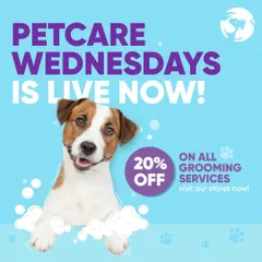 My Petcare Wednesdays promotion is live. Get 20% off all grooming services and give your pet the fresh look they deserve.