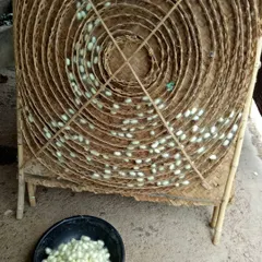 Silk cocoons are placed on these traditional bamboo racks. The patterns and textures of local life are as fascinating as the natural landscapes.