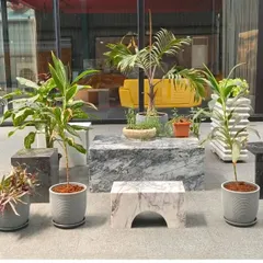 I can create unique, artistic focal points for your space. This modern arrangement uses a mix of textured pots and marble blocks to display a curated selection of plants, blending nature with contemporary design.