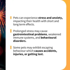 Prolonged stress from loud noises can have serious health consequences for pets. This guide explains how it can lead to a weakened immune system and behavioral issues like trying to escape.