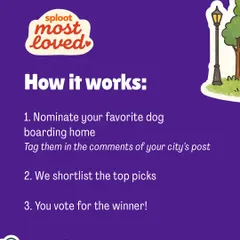 Here’s how our 'Sploot Most Loved' program works. You nominate your favorite dog boarding home, we shortlist the top picks based on community feedback, and then you vote for the winner. It's a transparent process to find the best care.