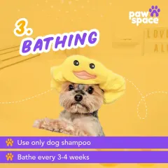I use only professional-grade, dog-friendly shampoo for a deep and safe clean. A regular bath every 3-4 weeks is recommended to keep your pet's skin and coat healthy.