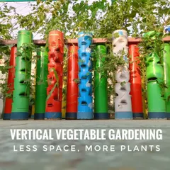 The core idea of our service: less space, more plants. This image perfectly captures how you can line up multiple towers to create a dense, productive garden without sacrificing your floor area.