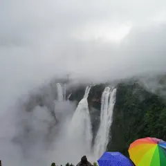 A group of travelers admiring the magnificent Jog Falls. Our trips are planned to ensure you get the best viewpoints, even on a cloudy day.