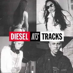 Working with iconic brands like Diesel and NTS Radio for their 'TRACKS' campaign was a major highlight. I was featured alongside incredible artists from around the world, curating a mix and playlist that put a spotlight on the Indian music scene.