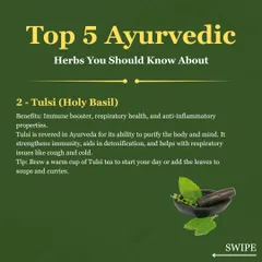 Tulsi, or Holy Basil, is revered for its immune boosting and respiratory health benefits. I often recommend Tulsi tea to help strengthen immunity, aid in detoxification, and relieve coughs and colds.