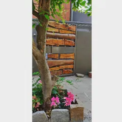 A gate designed with leftover wood from the construction site. This piece of functional art not only welcomes you but also embodies our philosophy of upcycling and reducing waste, turning scraps into something beautiful.