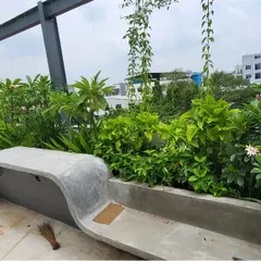 Another angle of the F Gear terrace garden, showing the depth and variety of plants used. We selected species that thrive in Bengaluru's climate, ensuring the space remains green and beautiful with our ongoing maintenance services.