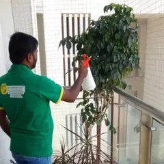 Pest control is a critical part of our service. Here, our gardener is carefully applying a safe and effective treatment to protect a client's plant from common pests found in Mumbai.