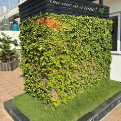 One vine at a time, we create living art. This structure is covered in a lush creeper, creating a beautiful green focal point surrounded by artificial turf for a clean, low-maintenance look.